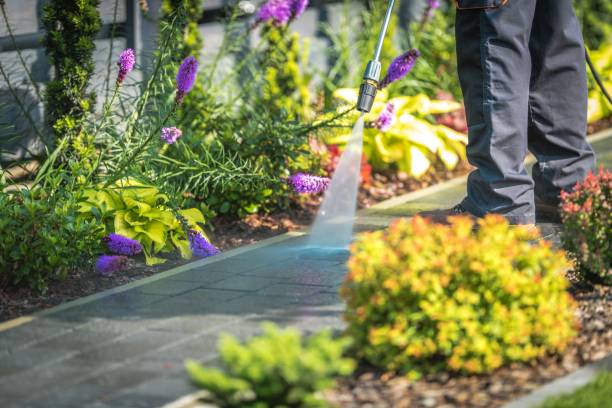 Best Animal Enclosure Cleaning  in Bluewell, WV